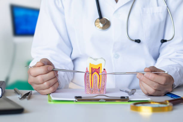 Best Pediatric Emergency Dentist in Grass Valley, CA
